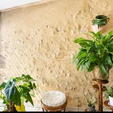 Calme, A Deux Pas Du Centre Ville. Homestay